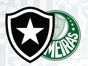Botafogo x Palmeiras 31 rodada