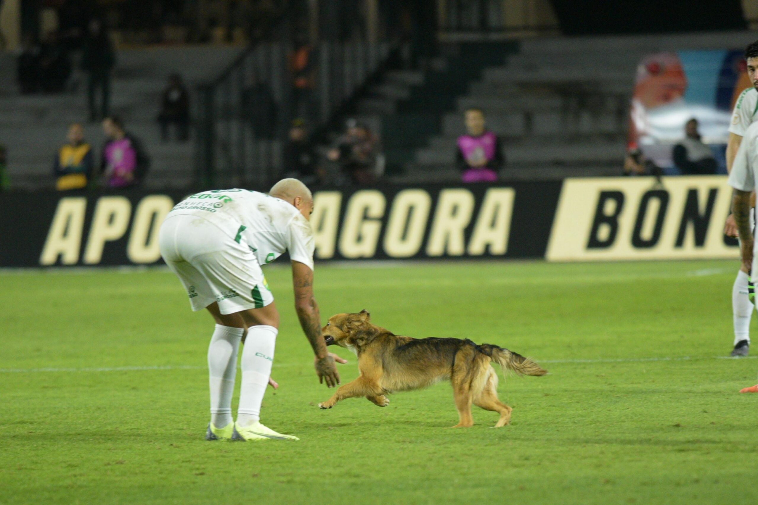 Coritiba e Cuiabá
