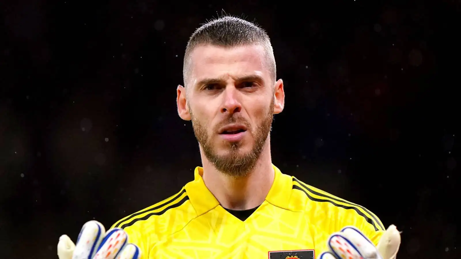 Jogador David De Gea Goleiro