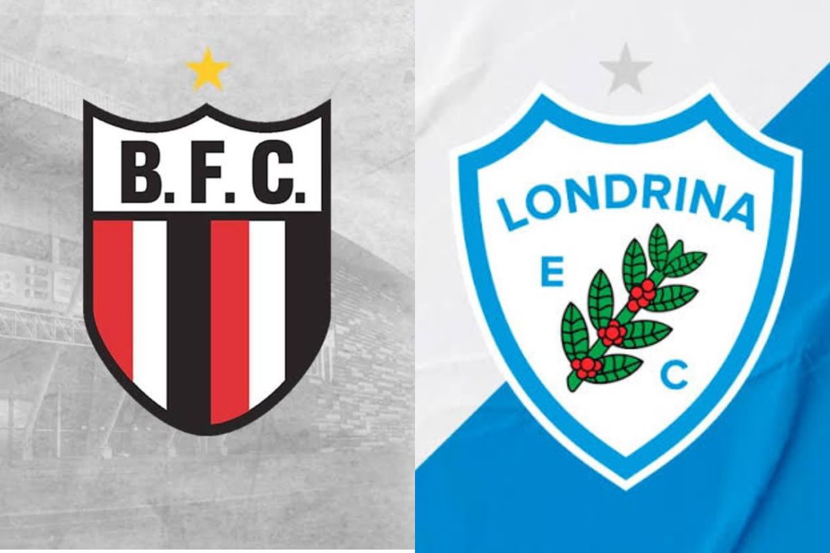 Botafogo-SP x Avaí: onde assistir, horário, escalações