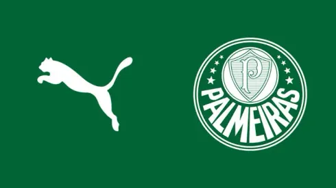 Palmeiras e Puma