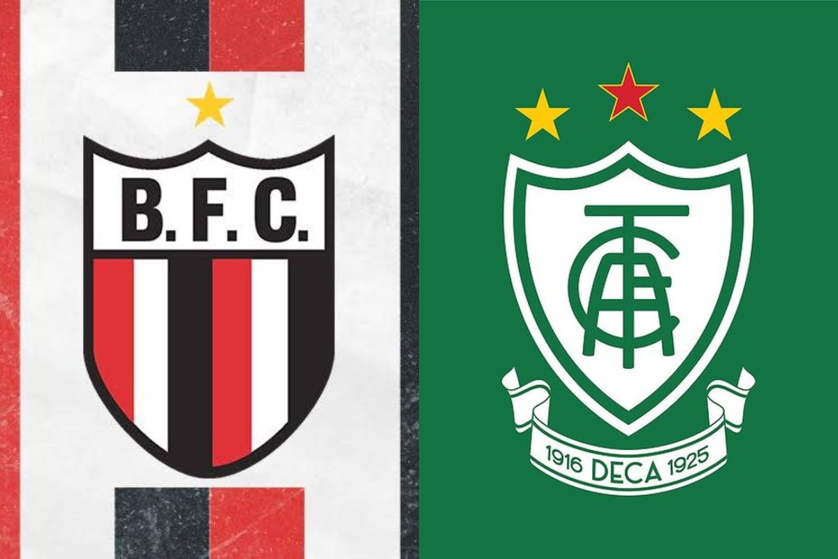 Botafogo-SP x América-MG onde assistir
