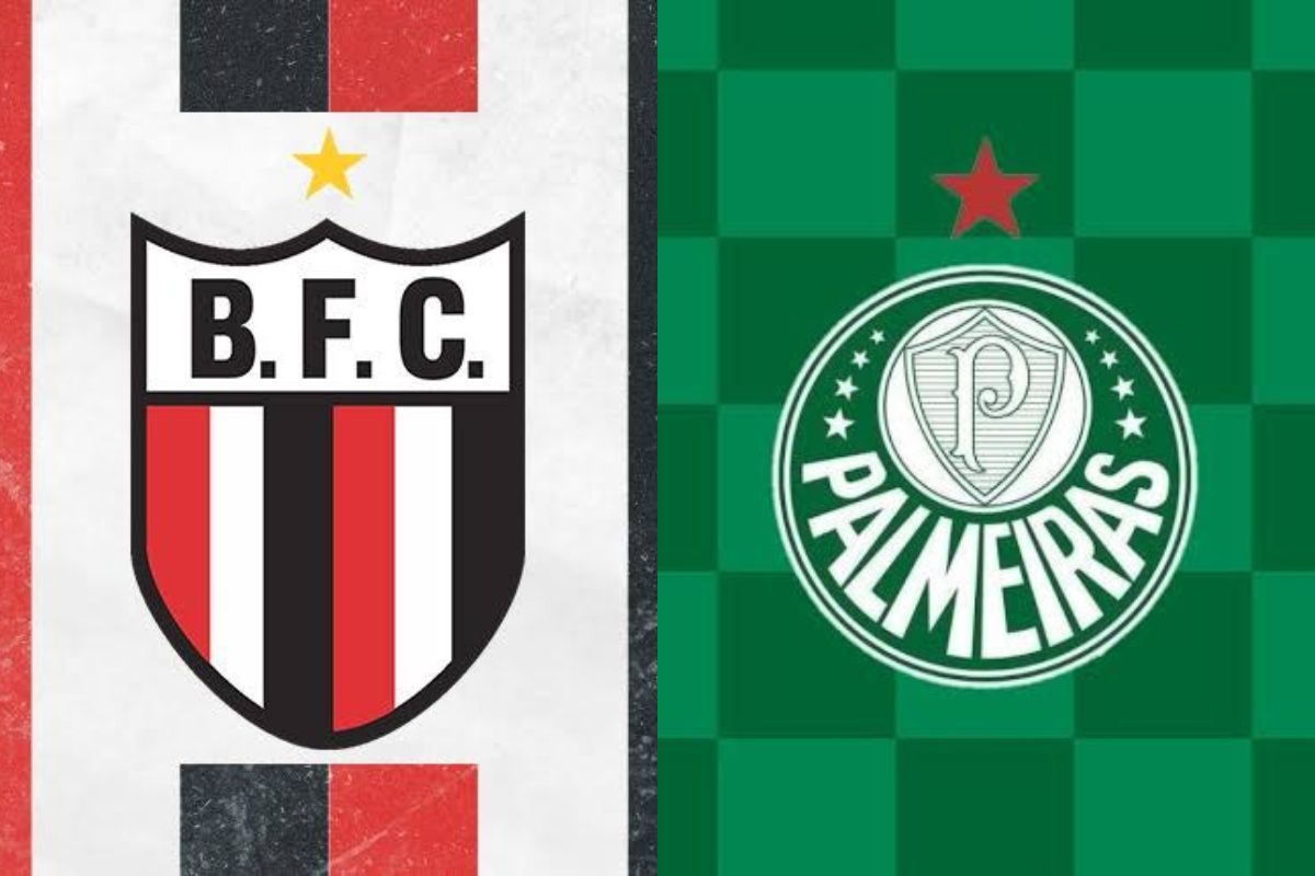 Botafogo-SP x Palmeiras onde assistir