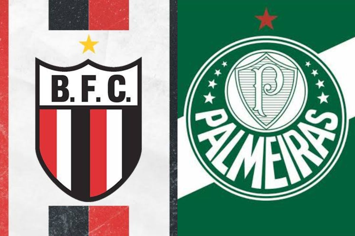 Palmeiras x Botafogo-SP onde assistir
